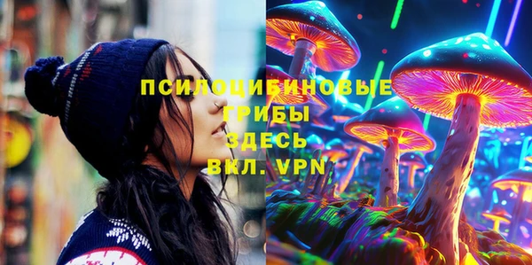 гашик Армянск